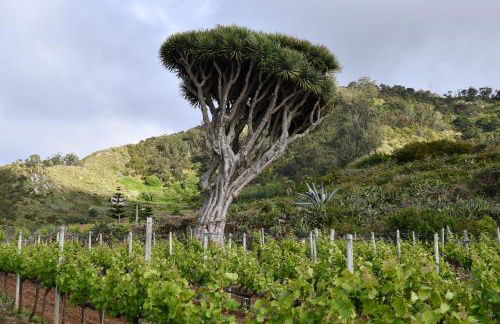Haciendas del Valle - Casa San Miguel - Foto 13