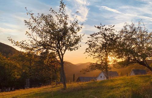 Naturpause Ferienwohnung - Photo 22