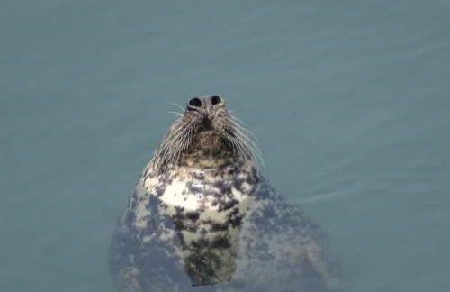 Long Linhay Mortehoe Woolacombe - Foto 22