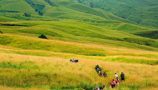 Meio Dia nas Colinas e Terraços de Arroz - Tour Privado - Foto 5