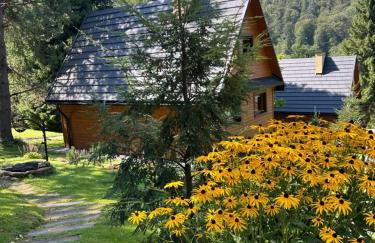 Reset Bieszczady - Foto 10