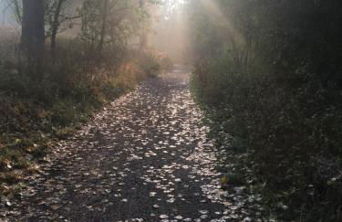 Naturidyll Teufelsmauer - Foto 20