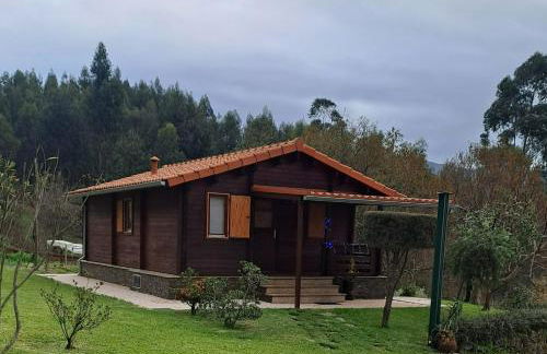 Kombi House - Foto 1