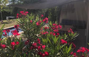 Villa de charme à Cucuron au pied du luberon - Foto 65