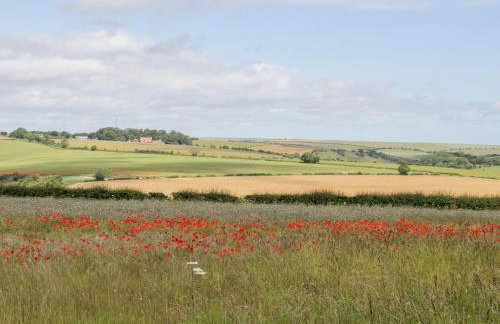 Lavender Cottage - Foto 20