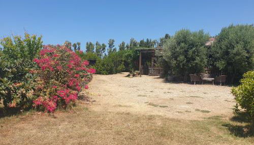 Country House - Foto 3, Garden, Garden view