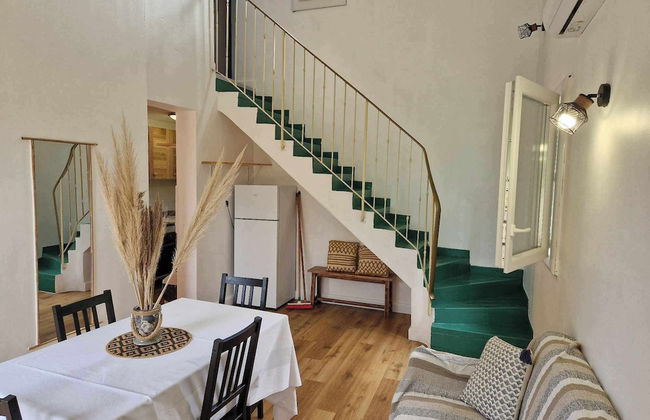 Pinea Mare - Foto 54