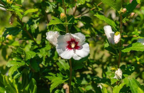 House Terra Madre - Photo 29