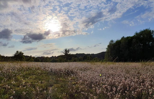 Cozy Holiday Home in Haderslev near Ocean - Foto 8