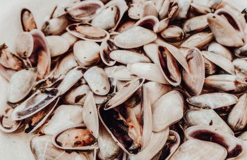 Ca la Ola - Your Mediterranean Stay - Foto 49