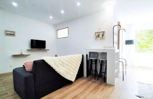 L'Isère depuis les Quais Romanais - Photo 4