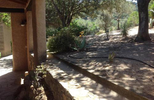 Villa A Scopa à Lumio en Corse avec piscine chauffée, vue mer panoramique, climatisation, jardin arboré de 3000m2, 10 pers, 5 Chb, 4 Sdb - Foto 56