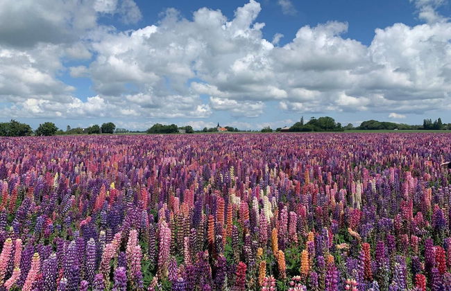 Luxury Spa Retreat in Lolland - By Traum Ferienwohnungen - Foto 19