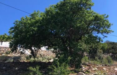 ARETI Sea View Mountain Cottage - Foto 47