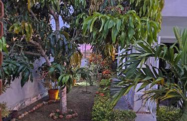 Charmosa suíte de Tucuns. - Foto 4