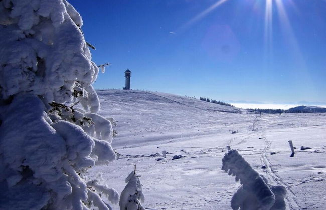 Nice Apartment in Bonndorf im Schwarzwald - Foto 7