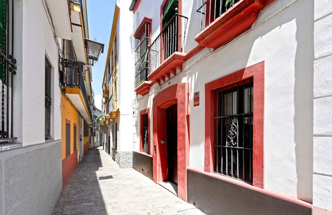 Genteel Home Tintes - Photo 34