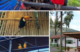 Apartamento em Poços - Foto 34