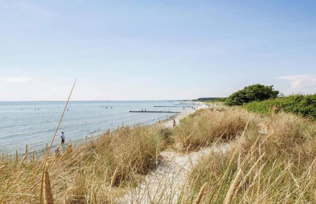 4 Star Holiday Home in Borre - Foto 28