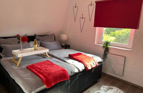 Frankenwald Ferienhaus FourStars am See in Lichtenberg, Bayern, Oberfranken, Bad Steben - Hof -Saale, Rennsteig - Foto 11