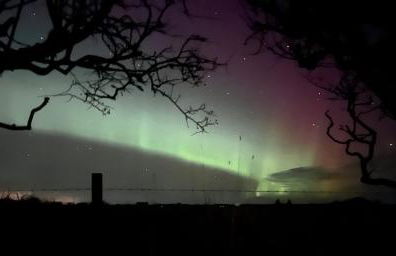 Caithness View Luxury Farm Lodges and BBQ Huts - Photo 27