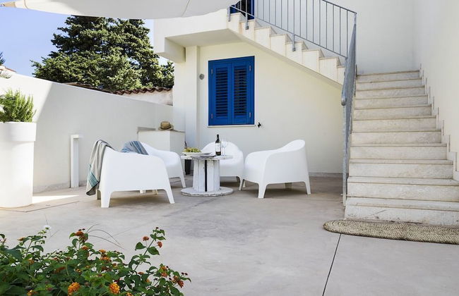 Spuma di Mare - Delfino - Foto 1