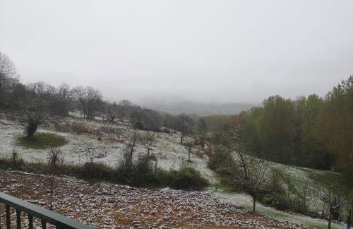 Alojamento Local Madre de Cima - Foto 40