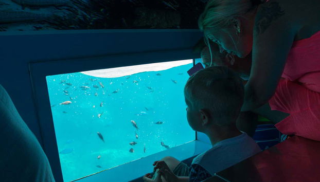 Mahón Tour + Boat Trip - Foto 3