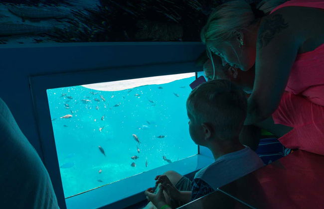 Mahón Tour + Boat Trip - Foto 3