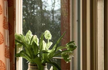 Jameswood Villa - Photo 14