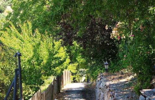 Casas Rurales Cortijo El Marqués - Foto 26