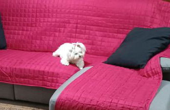 Casa Venezia New Life - Foto 2