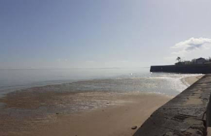 Appart' Islande - Foto 30