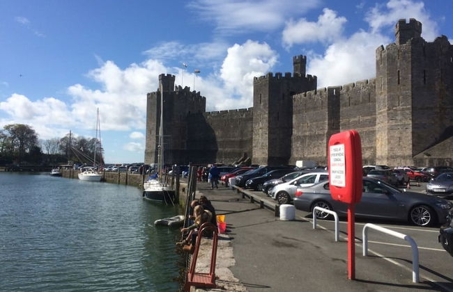 Upper Lake Chalet , Dog and Pet Friendly - Photo 17