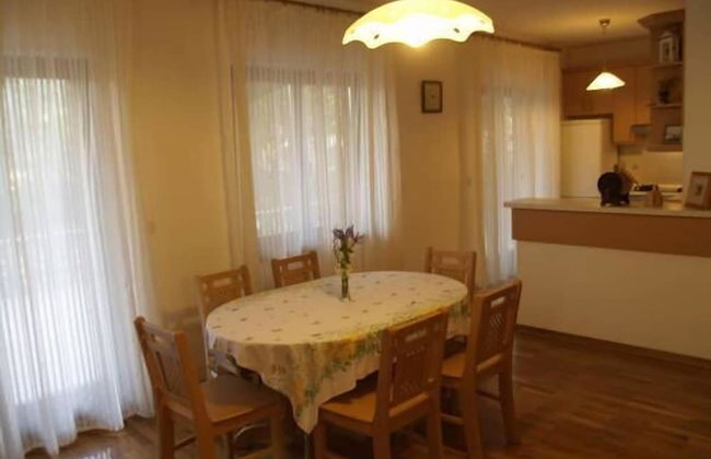 Apartments Mrva - Foto 47