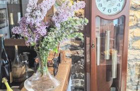 Peaceful Villa Ida&Mirko in nature with private pool - Foto 34