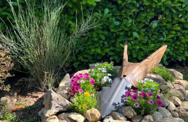 Assisi, la Noce - Foto 19