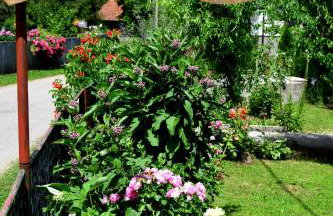 Apartman Dorijan - Foto 32