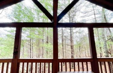 Private and Perfect! - hot tub, king bed, fireplace - dog and motorcycle friendly Studio Cabin by RedAwning - Foto 42