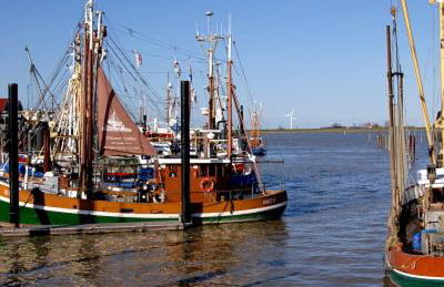 Ferienwohnung Haus Schwalbennest OG - Foto 15