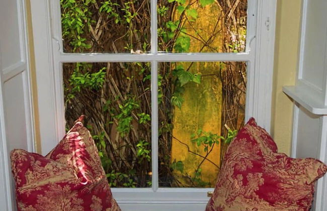 Aloe Corner Franschhoek - Foto 27