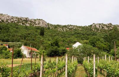 Villa Hameau de Signargues, entre Avignon - Pont du Gard et Uzes - Foto 6