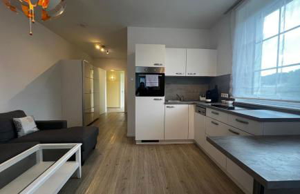 Blue Riverside Apartments - Foto 18