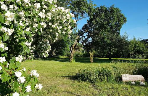 Feriendomizil "Anker" H 2 - Foto 13