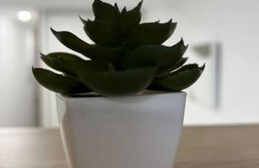 White House - Photo 1