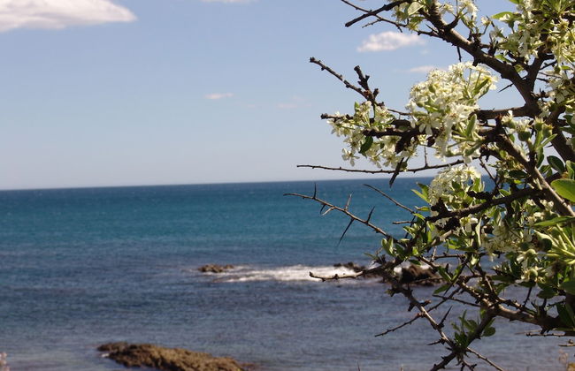 Villaggio Porto Corallo - Foto 45