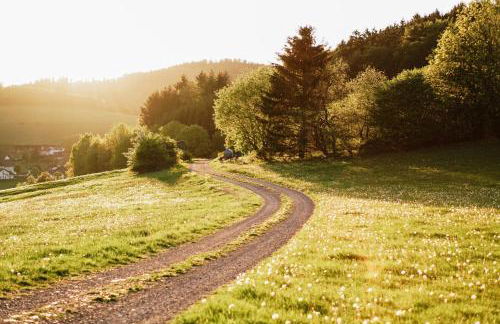 Ferienwohnung Schanze Willingen - Foto 25