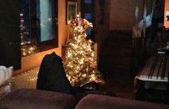 LES MARMOTES Camprodon - Photo 58