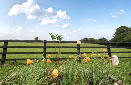 HollyDale - Photo 54