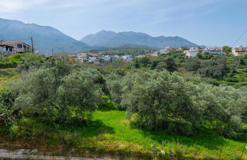 To Patriko - Foto 77